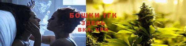 дмт Алексеевка