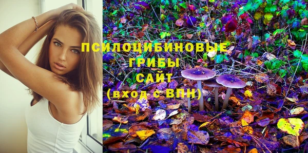 герыч Алексин
