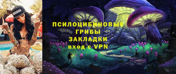 герыч Алексин