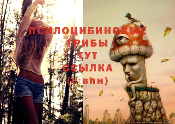 дмт Алексеевка