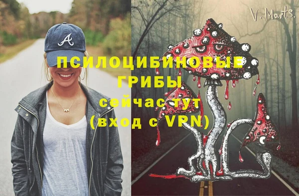 дмт Алексеевка